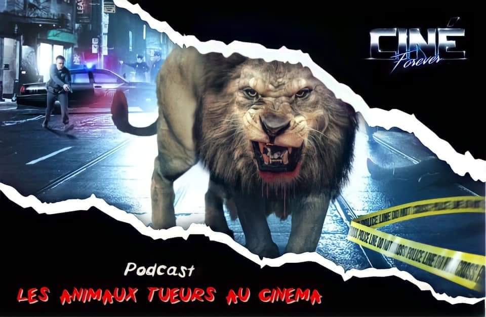 162636944_2943885892563267_4905104197463096932_n.jpg (71 KB)